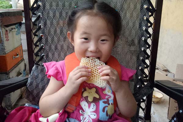 孩子在吃蜂巢蜜