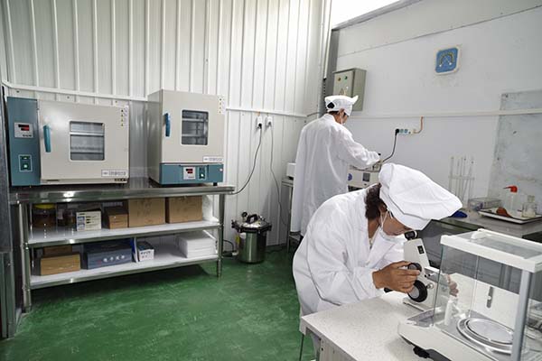 检测蜜的各项指标